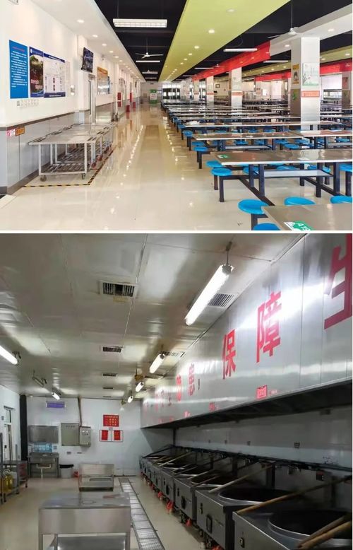 河北邢臺(tái)市創(chuàng)建省級(jí)校園食品安全標(biāo)準(zhǔn)食堂44家，助推正餐服務(wù)再上臺(tái)階